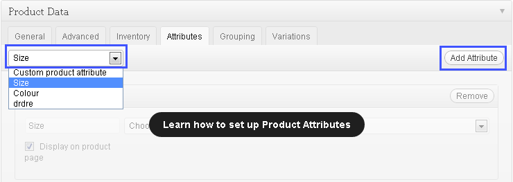 add attribute