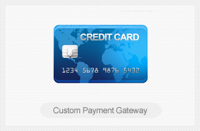 custompayment