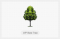 WP-Best-Tree-thumb